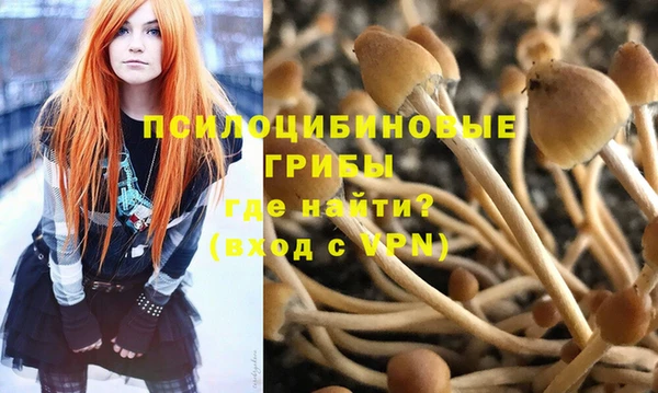первитин Абинск