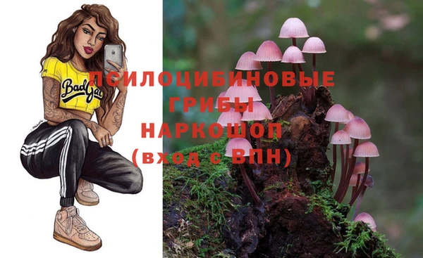 первитин Абинск