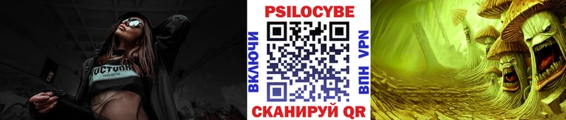 Галлюциногенные грибы Psilocybe  Иваново 